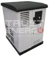 Газовый генератор REG GG6-230SV с АВР