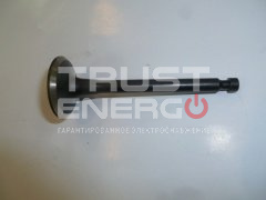 Клапан выпускной KG390/Exhaust valve